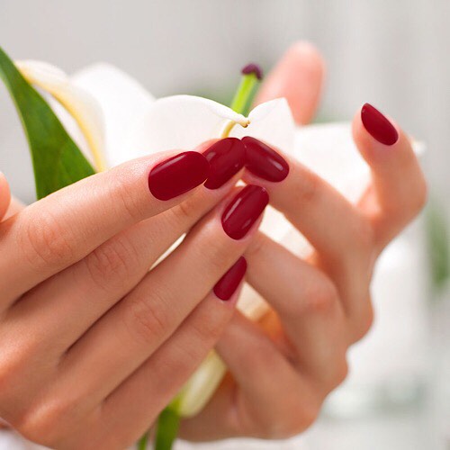 D&C NAILS SPA - additional services